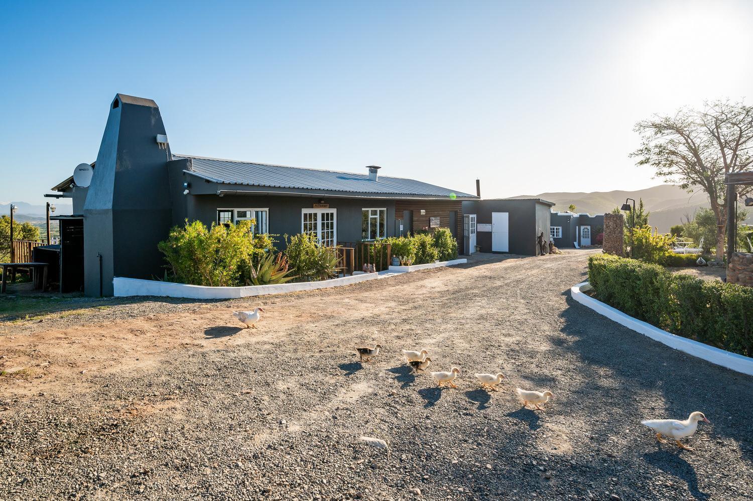 Bed and Breakfast Le Petit Karoo Ranch Оудсгорн Екстер'єр фото